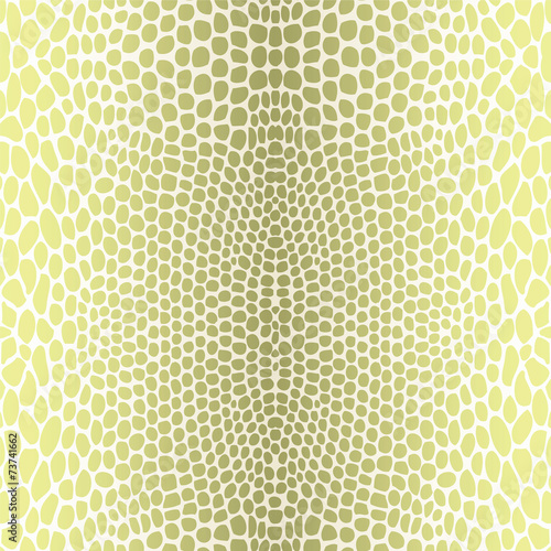 Snake skin
