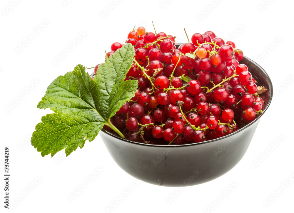 Red currant Red currant