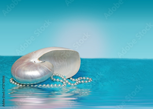 Nautilus Sea-Shell on Blue Crystal Sand