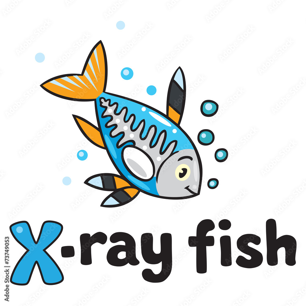 Obraz premium X-ray fish for ABC. Alphabet X
