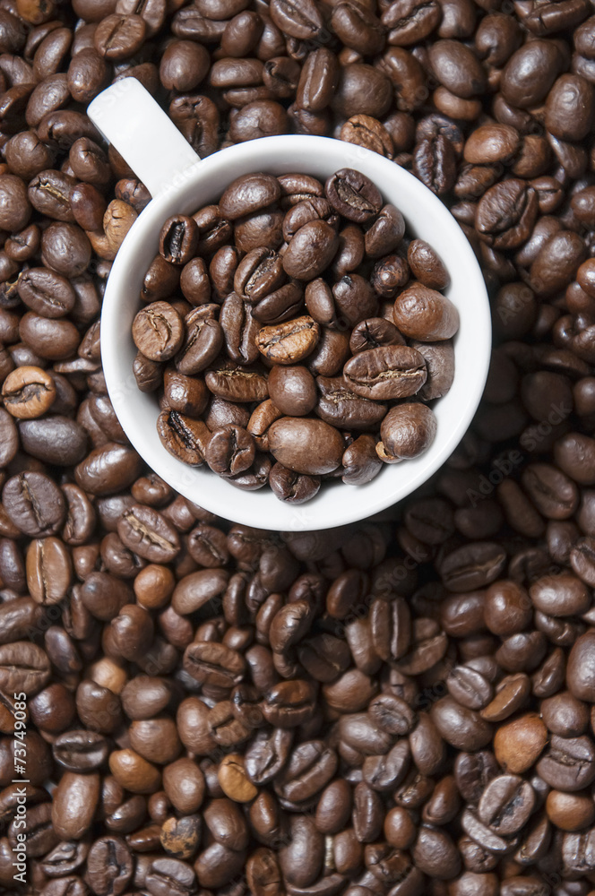 Fototapeta premium coffee