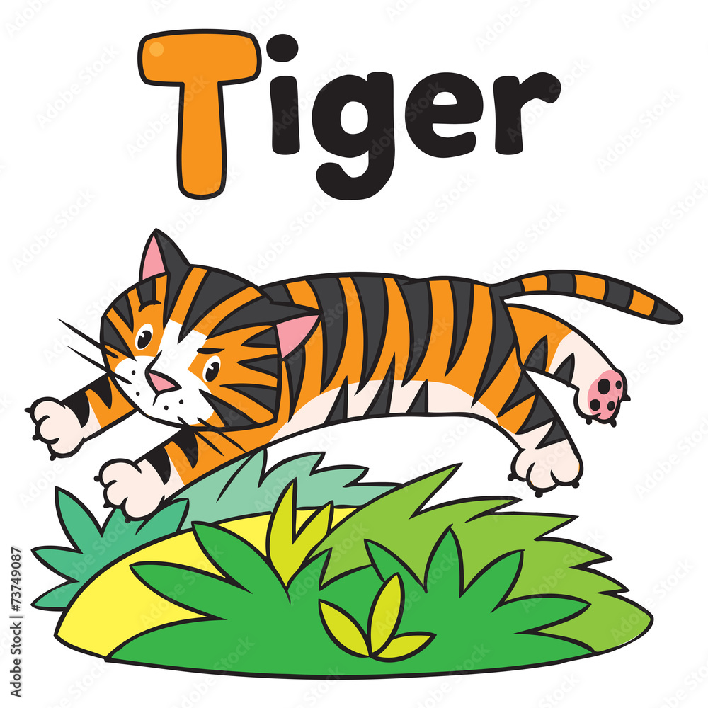 Fototapeta premium Funny wild tiger, for ABC. Alphabet T