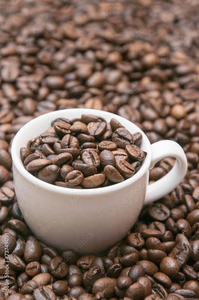 Fototapeta premium coffee