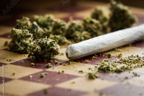 marijuana joint closeup photo