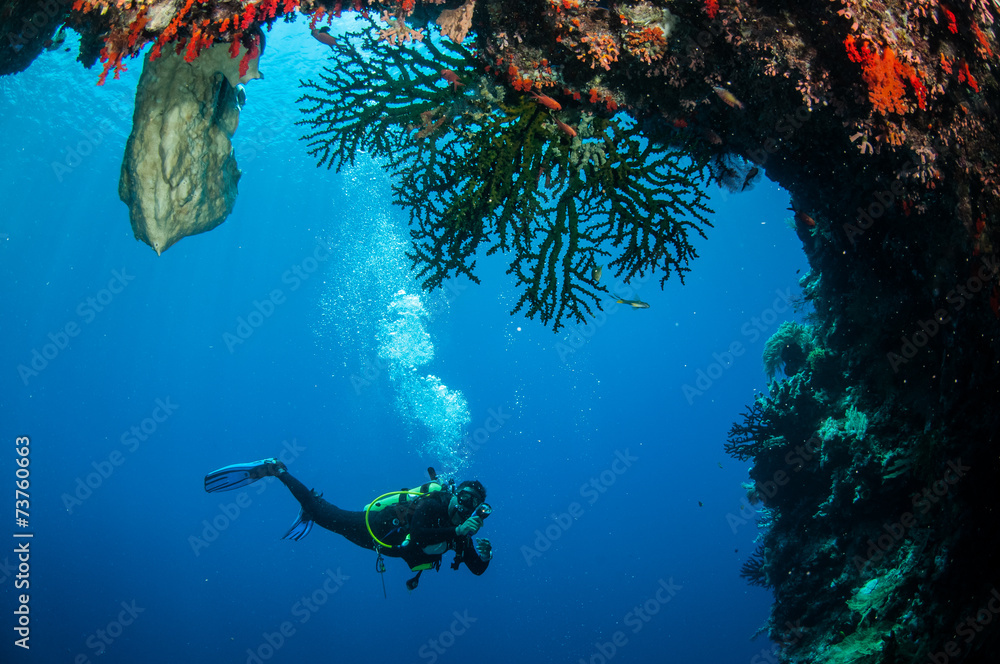 Naklejka premium Diver swimming around in Banda, Indonesia underwater