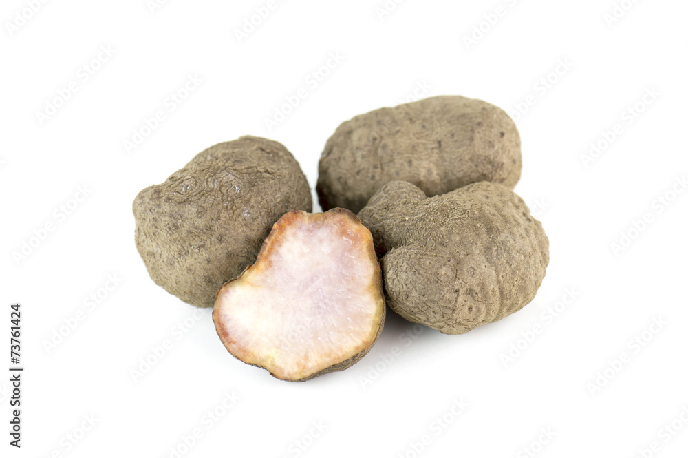 Fototapeta premium Air potato, dioscorea isolated on white background