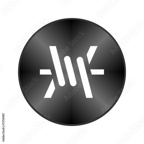 Chrome Icon