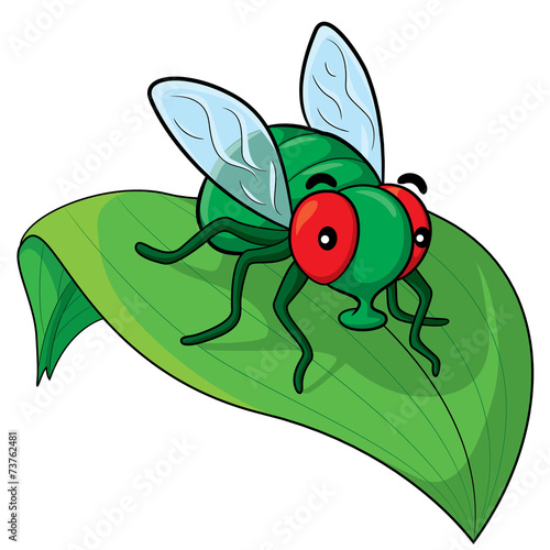 Fly Cartoon
