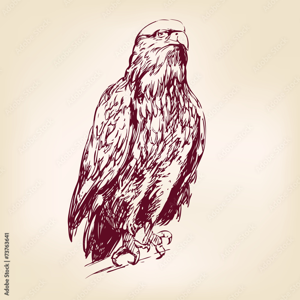 Obraz premium Eagle - vector illustration