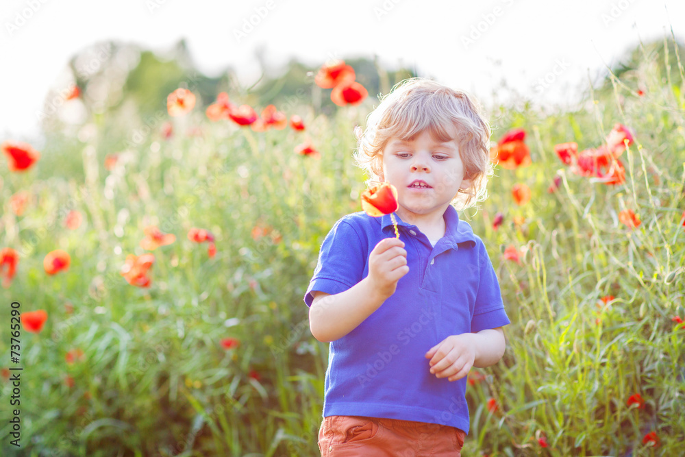 Cute kid boy with poppy flower on poppy field on warm summer day Cute kid boy with poppy flower on poppy field on warm summer day