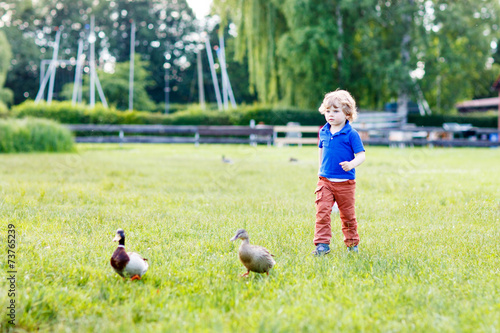Funny toddler boy chasing wild ducks in a park