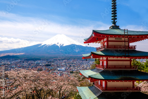 The mount Fuji  Japan