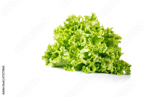 Green salad isolated on white background