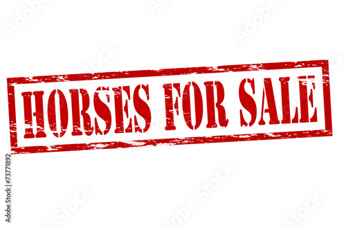 Horses for sale