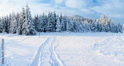 winter road © standret