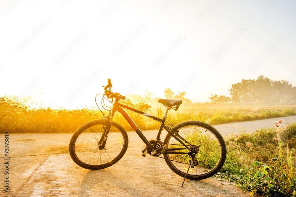 Obraz premium bike in the meadow at sunrise