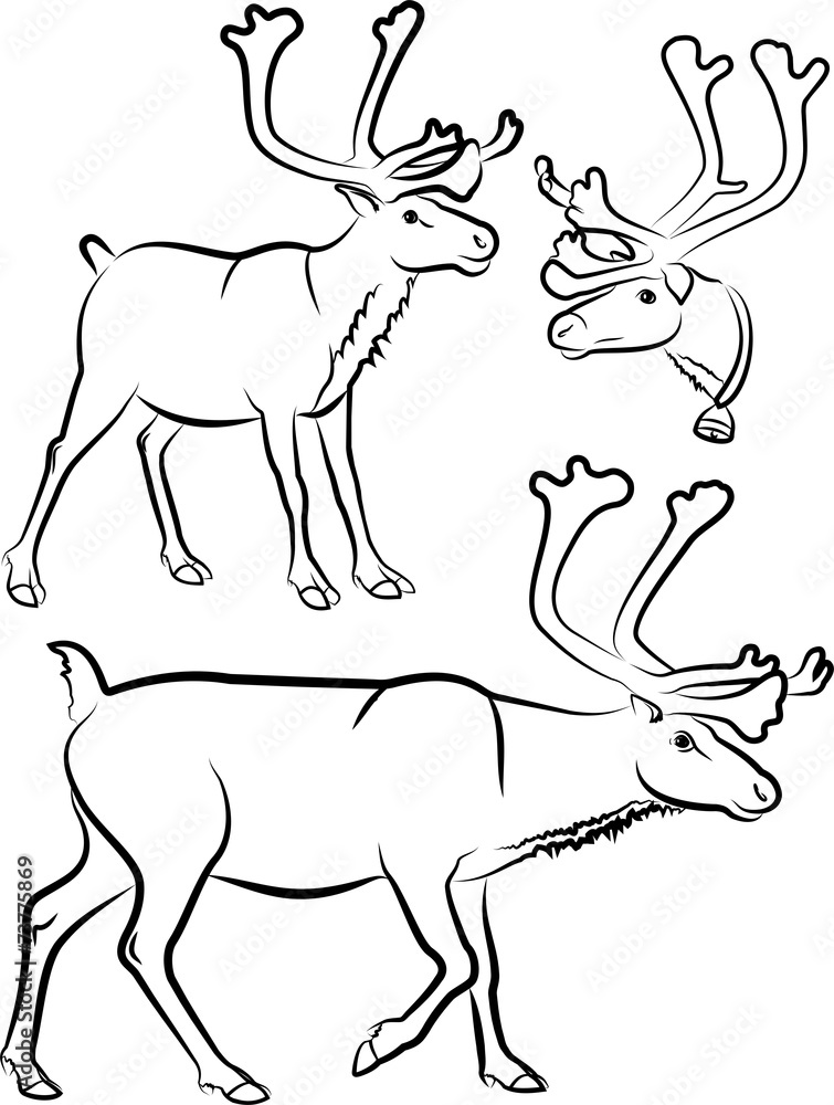 reindeer - vector outlines and silhouettes reindeer - vector outlines and silhouettes