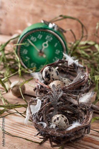 nest with quail eggs on background grass and green clock
