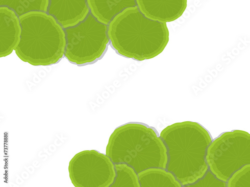 Green leave vector background