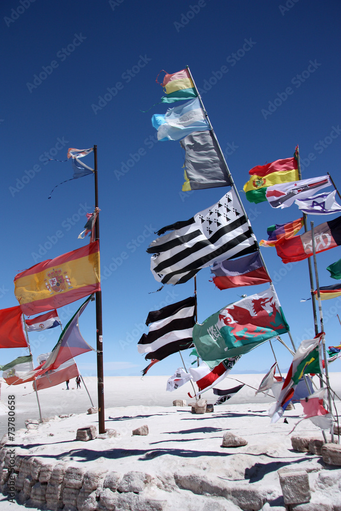 Obraz premium Flags in desert of Salar de Uyuni, Bolivia