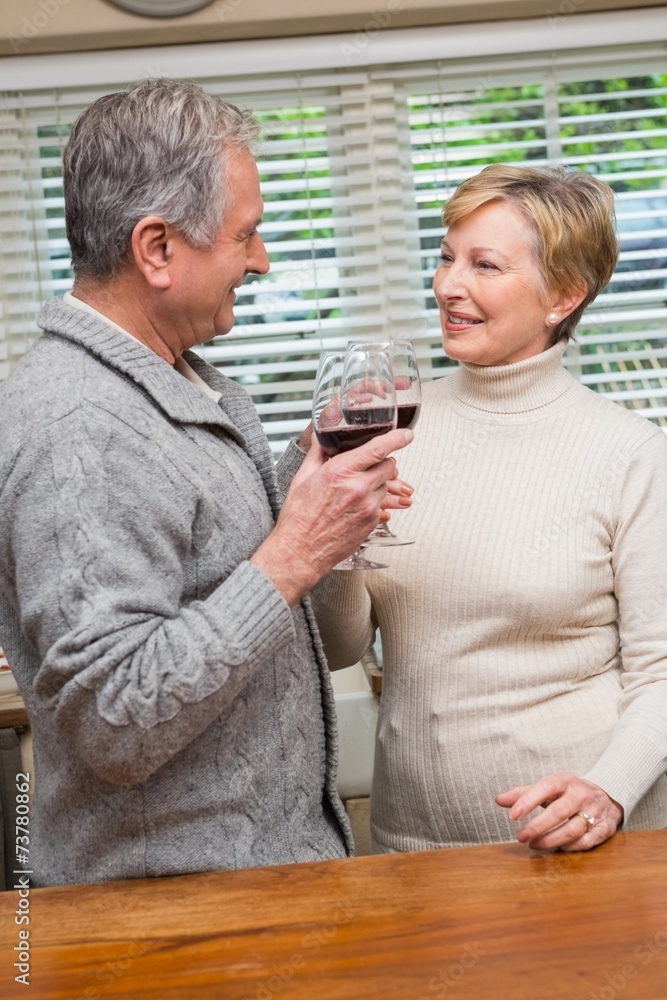 Senior couple drinking red wine Senior couple drinking red wine