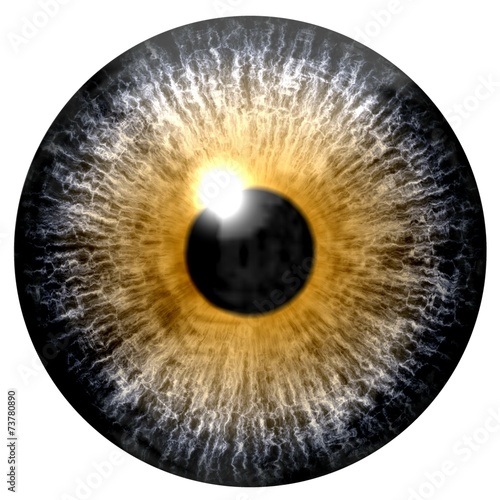 Abstract yellow eye isolated on white