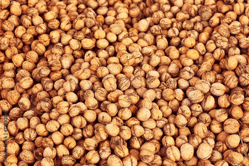 Many pecans Many pecans
