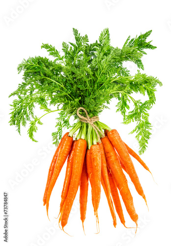 Fresh carrots with green leaves. Vegetable. Food