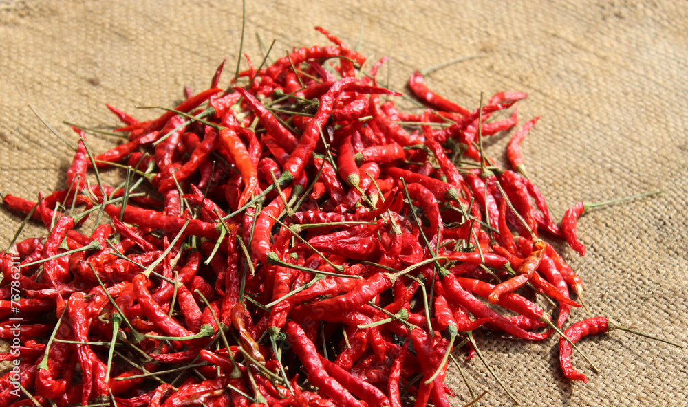 Fototapeta premium dry chili on gunny bag