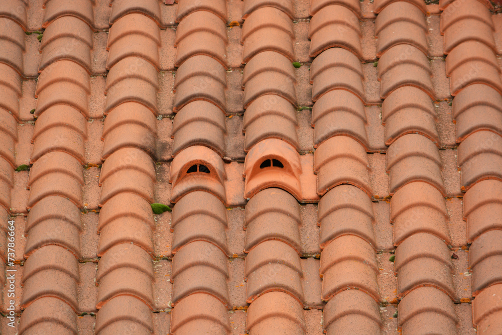 salida de ventilacion en un tejado foto de Stock | Adobe Stock