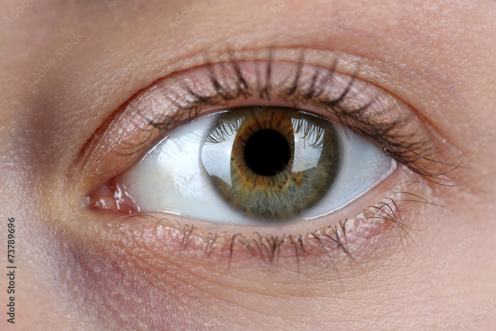 Fototapeta premium Female eye close-up