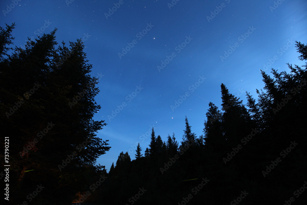Fototapeta premium Nuit