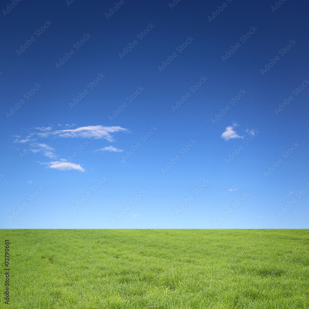 Fototapeta premium Himmel mit Wiese