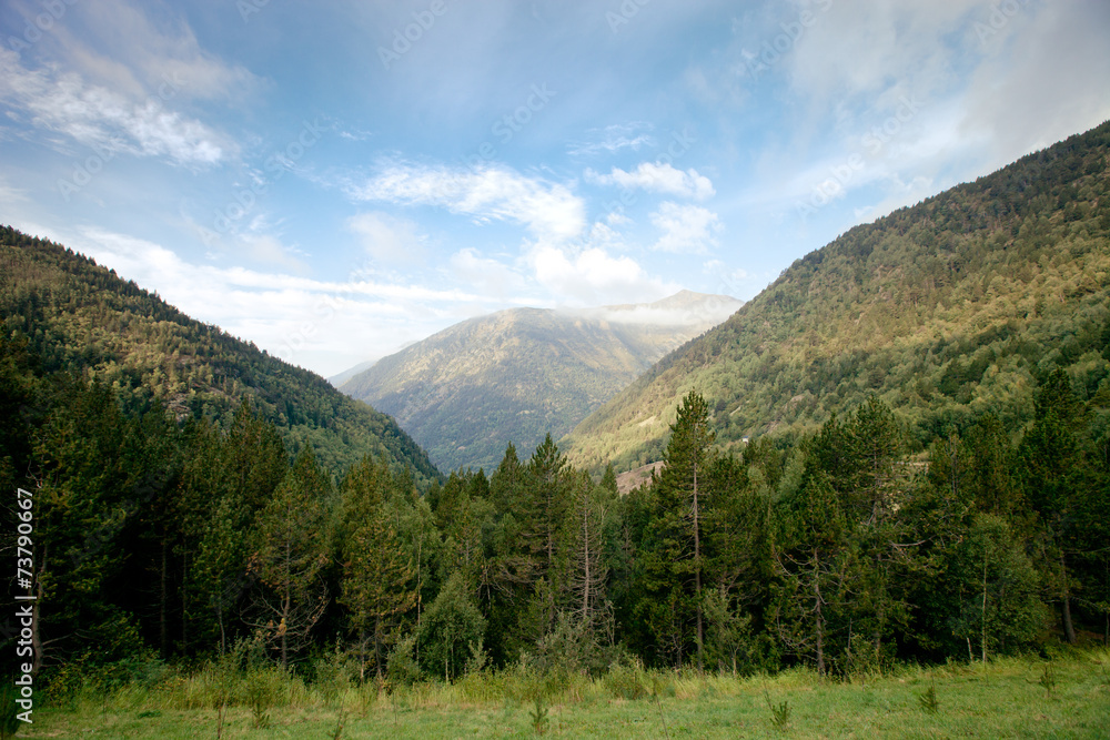 Forested valleys between the mountains. andorra Forested valleys between the mountains. andorra
