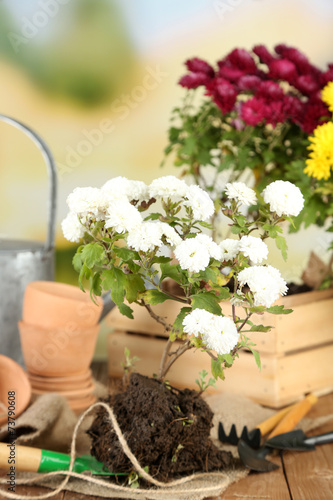 Rustic table with flowers, pots, potting soil, watering can and