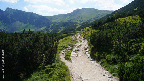 Fototapeta Naklejka Na Ścianę i Meble -  Tatry