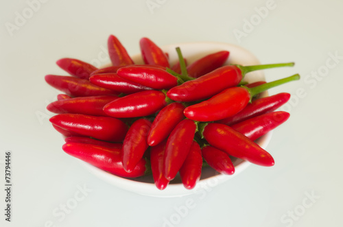 Bowl of chilis - Capsicum sp.