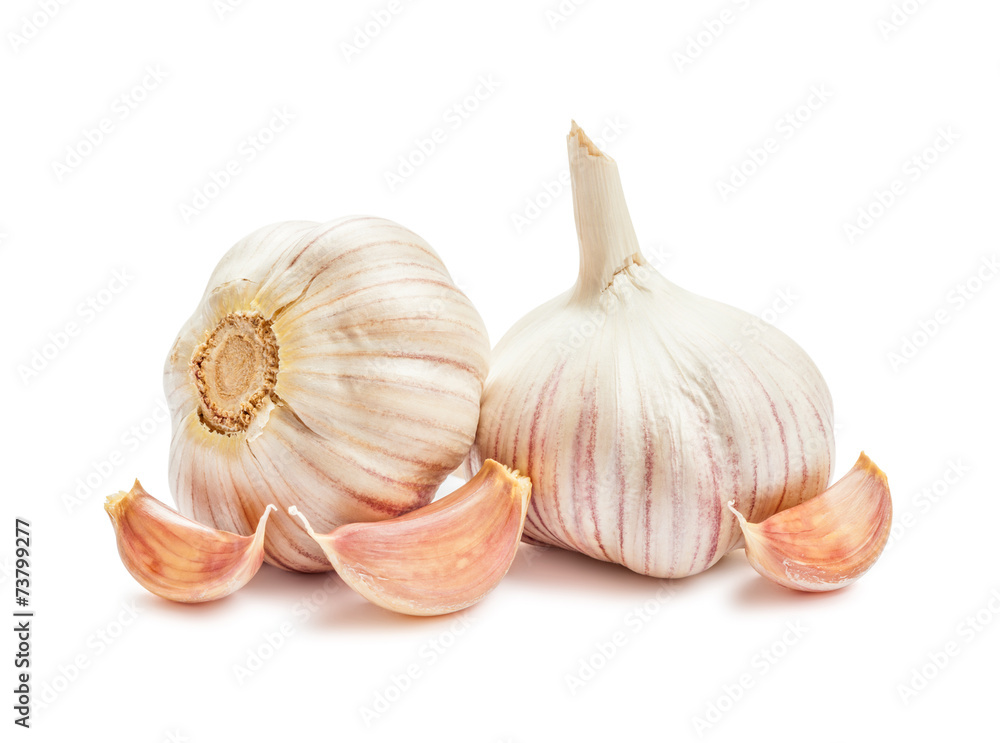 Obraz premium Garlic isolated