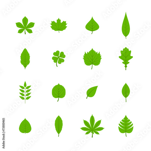 Green leaves flat icons set