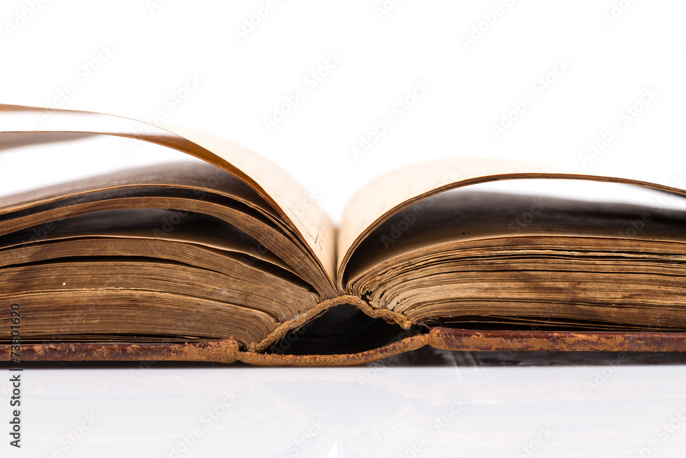 Obraz premium Open Book blank on white