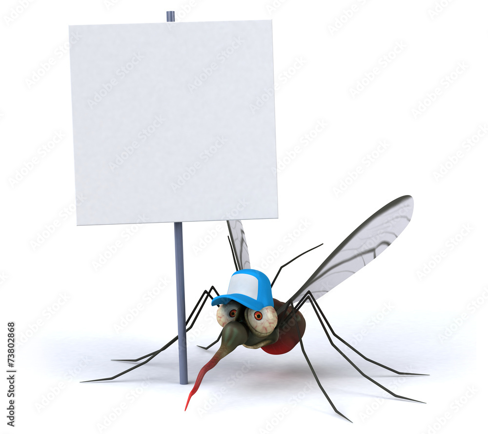 Fototapeta premium Mosquito