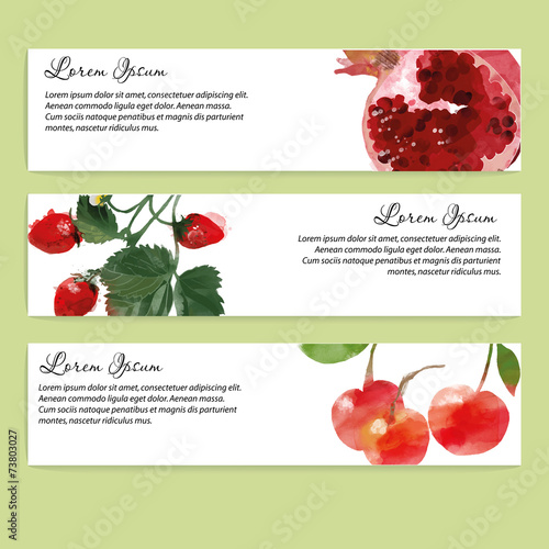 Fruits vector background. Banner design garnet strawberry cherry