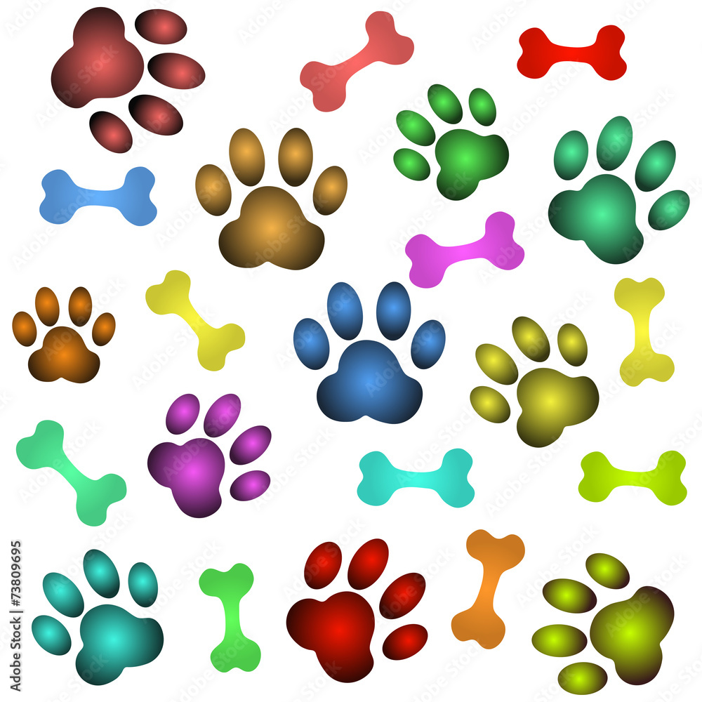 dog paw and bone vector