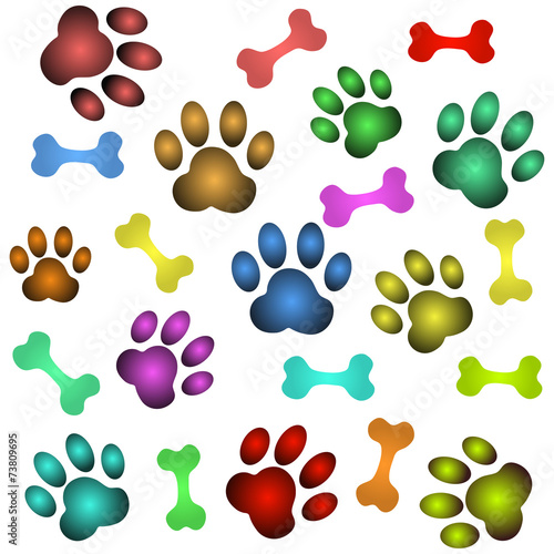 Obraz na płótnie dog paw and bone vector w salonie