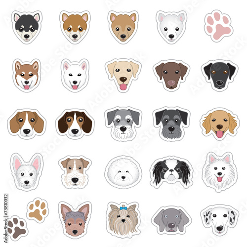 犬の顔のイラスト Stock Vector Adobe Stock 犬の顔のイラスト Stock Vector Adobe Stock