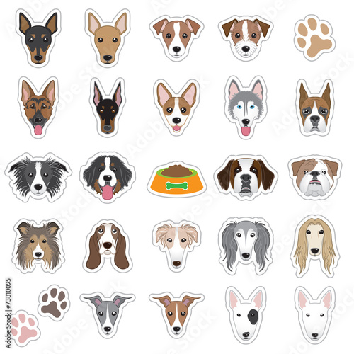 犬の顔のイラスト