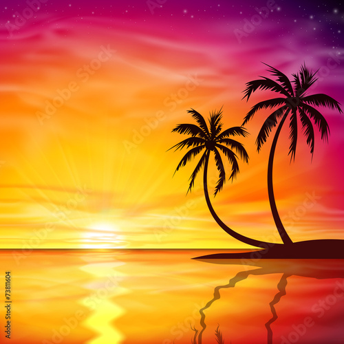 Fototapeta Naklejka Na Ścianę i Meble -  Sunset, Sunrise with Palm Trees