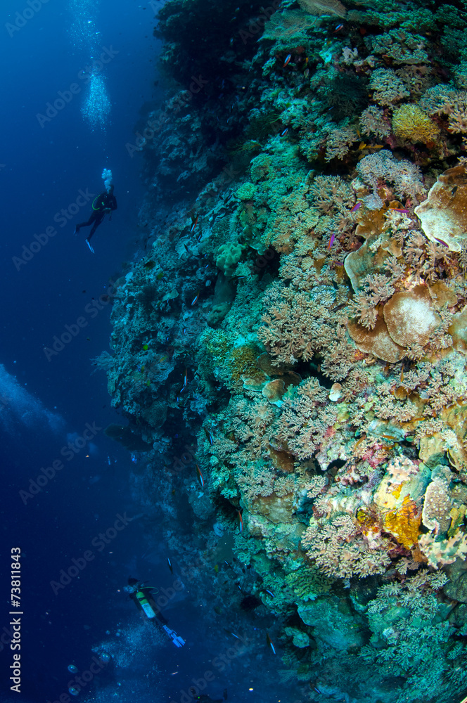 Obraz premium Divers are swimming in Banda, Indonesia underwater