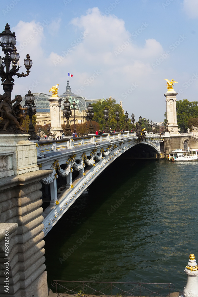 Fototapeta premium Le Pont Alexandre 3 in Paris.