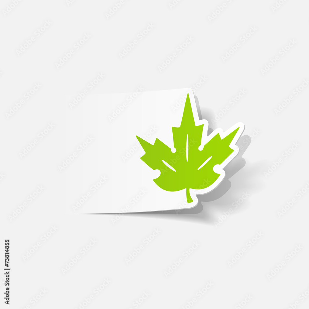 realistic design element: leaf realistic design element: leaf